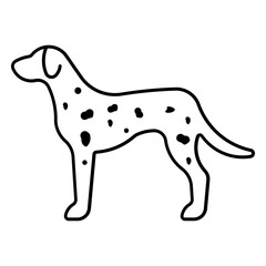 Dalmatian