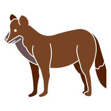 dhole