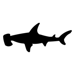 hammerhead shark