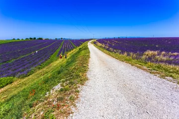 Zelfklevend Fotobehang Route de la lavande sur le plateau de Valensole en Provence  © Unclesam