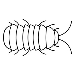 Isopod