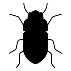 mealworm