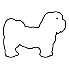 Lhasa Apso