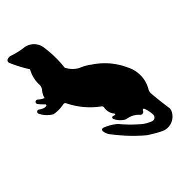 mink