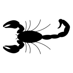 scorpion