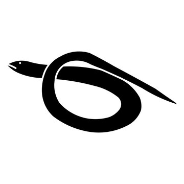slow worm