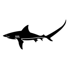 Fototapeta premium thresher shark