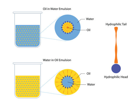 A mixture of two immiscible liquids in tubes, Emulsion oil in water and water in oil
