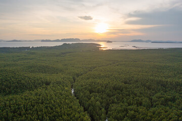Aerial top view of a garden park with green mangrove forest trees, river, pond or lake. Nature landscape background, Thailand.
