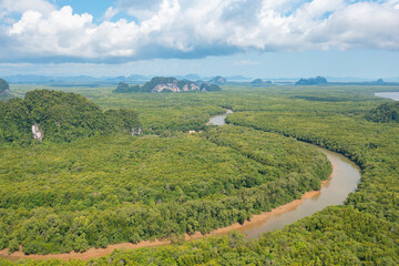 Aerial top view of a garden park with green mangrove forest trees, river, pond or lake. Nature landscape background, Thailand.