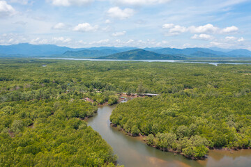 Fototapeta na wymiar Aerial top view of a garden park with green mangrove forest trees, river, pond or lake. Nature landscape background, Thailand.