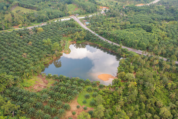 Fototapeta premium Aerial top view of a garden park with green mangrove forest trees, river, pond or lake. Nature landscape background, Thailand.
