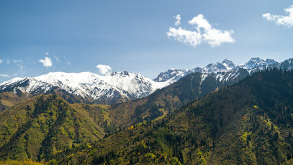 Obraz premium autumn forest at the foot of snowy mountains. autumn in the mountains
