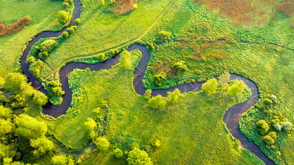 Natural river between the forest - aerial high view