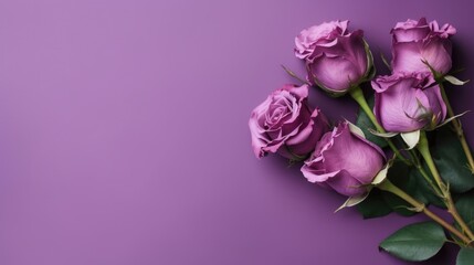 Purple roses on purple background