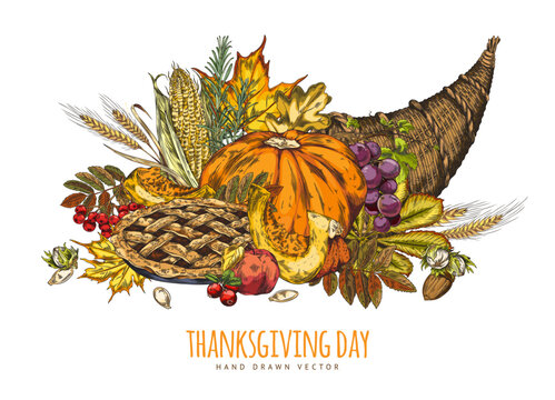 Traditional pie with apple, pumpkin, corn, autumn leaves and braided horn, Thanksgiving day vector hand drawn postcard
