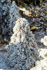 snow covered christmas tree, christmas decoration