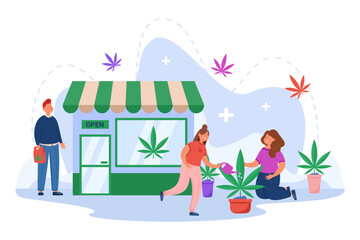 Women planting and watering cannabis in pots vector illustration. Cartoon drawing of people growing and buying marijuana. Cultivation, marijuana, legal drugs, gardening concept