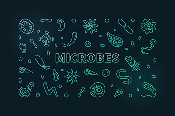 Microbes vector Science concept outline colorful horizontal banner or illustration with bacteria symbols