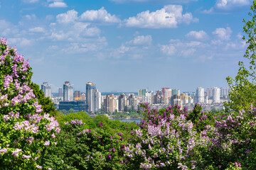 View of the left bank of the Dnieper during the flowering of lilacs