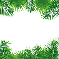amazon tropical border frame. Green rainforest card. Vector illustration with beautiful tropic plants. Palm and monstera leaves on a white square background for summer designs, cards and wallpaper © nataliesezam
