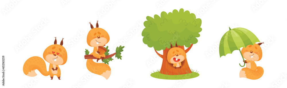 Poster cute squirrel character with bushy tail engaged in different activity vector set