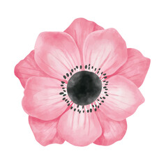 pink carnation flower isolated. watercolor flower vector hand painted