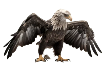 Foto op Plexiglas Majestic Bird: Eagle Isolated on Transparent Background Generative AI © Cool Free Games