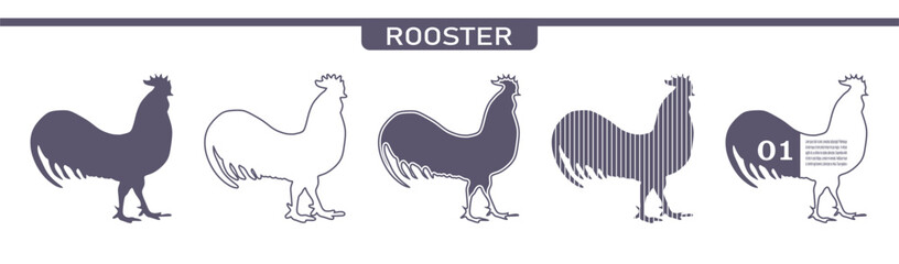 Fototapeta na wymiar Rooster farm animal. Poultry various flat icons set.