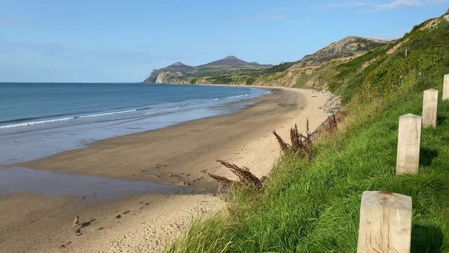 Lonely dog on the empty beach Pwllheli-Nefyn