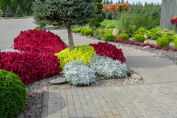 Frontyard with Paver Walkway. Beautiful Garden path made of natural stones, gravel. Huge...