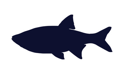 Fish Silhouette Vector. Fish vector Illustration. Fish artwork.