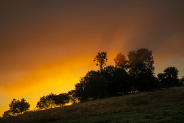 beautiful, multicoloured, misty sunrise over a mountain meadow