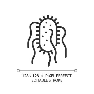 2D pixel perfect editable black salmonella typhi icon, isolated vector, simple thin line illustration representing bacteria.