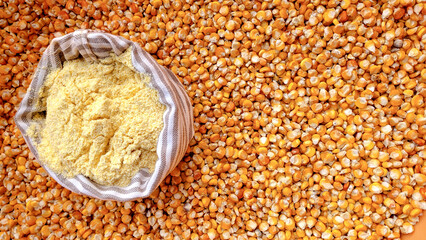 Organic yellow corn seeds and corn flour. top view