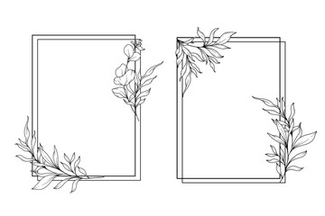 Floral Frames Line Art, Fine Line Eucalyptus Frames Hand Drawn Illustration. Eucalyptus Outline Frame. 