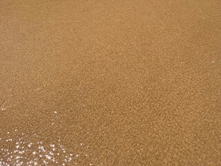 wet sand at the sea coast, natural sea sand texture