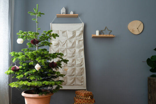 Decorated potted Christmas tree with gifts and advent calendar at home