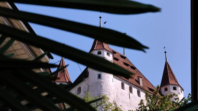 Castle of Thun and Palm Leaf in City of Thun in a Sunny Summer Day in Thun, Bernese Oberland, Bern Canton, Switzerland, Europe