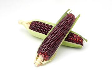 紫色のトウモロコシ