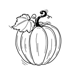 Vector hand drawn black and white sketch of pumpkin with leaf isolated on white background