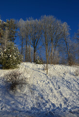 Rodelbahn zwischen Bäumen und Sträuchern im Schnee mit Rauhreif