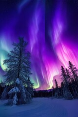 Aurora Borealis or Northem Light green and purple in the night sky, Aurora view in winter snowy mountain Landscape. Northem Light scene with Lake reflection.