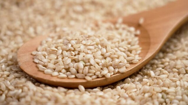 Coarse unprocessed chinese brown rice in wooden spoon close up. Falling healthy dietary organic grains in slow motion. Rotation