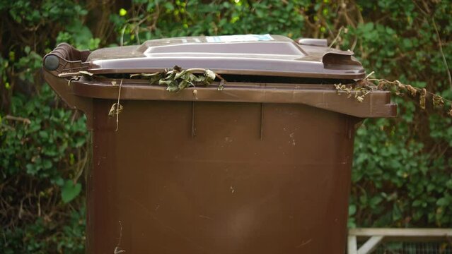 Brown wheelie bin for garden waste panning shot