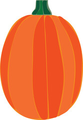 orange pumpkin isolated on white background. in vector