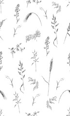 Seamless vector pattern. Graphic image of plants on a white background.