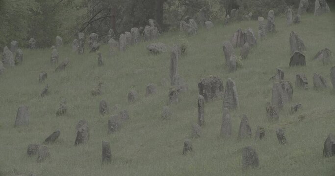 Old ancient Jewish cemetery in summer spring day. Druya, Belarus. green grass and many ancient stones. Headstone Headstones Tombstones jewish grave, clog2, clog, canon c70 c log 2.