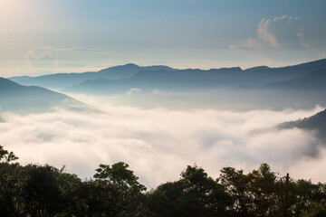 The sun penetrates the clouds and spills into the valley. Early morning view of tea gardens, sea of ​​clouds and sunrise, Nanshan Temple.