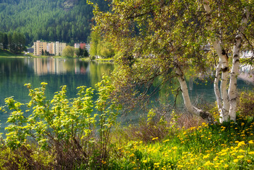 Fototapete bei efototapeten.de bestellen   